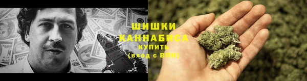 ГАЛЛЮЦИНОГЕННЫЕ ГРИБЫ Нязепетровск