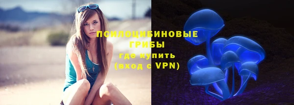 ГАЛЛЮЦИНОГЕННЫЕ ГРИБЫ Нязепетровск