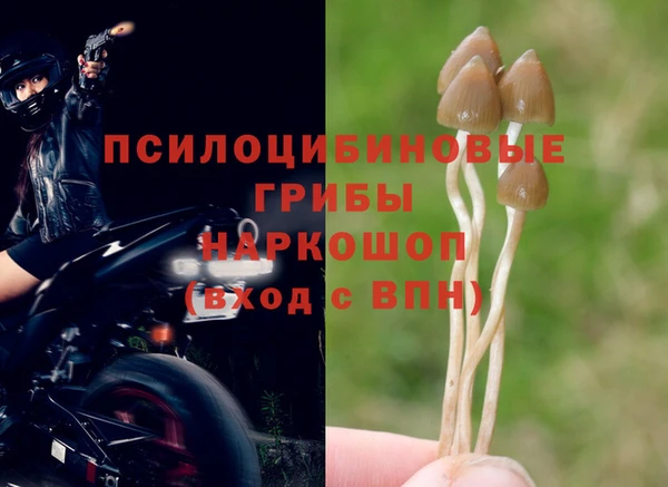 экстази Няндома