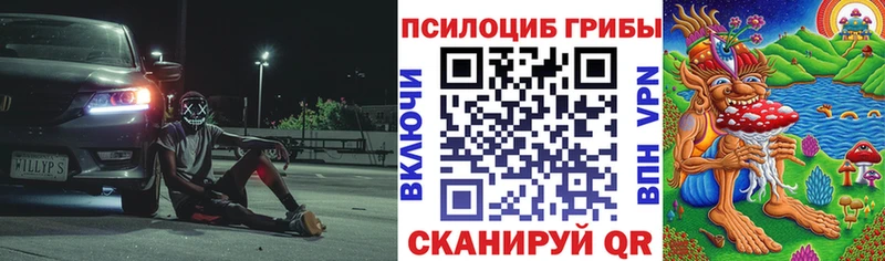 Псилоцибиновые грибы GOLDEN TEACHER  даркнет сайт  мега сайт  Орехово-Зуево 